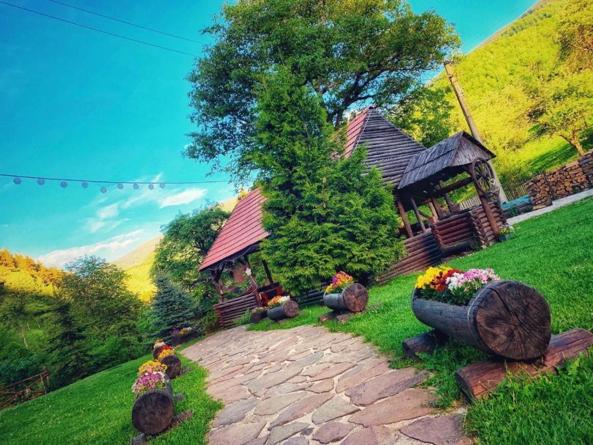 Cabana Valea Sadului Rau Sadului Luaran gambar